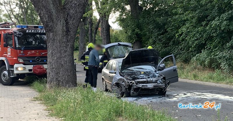 UDERZYŁ W DRZEWO I DACHOWAŁ