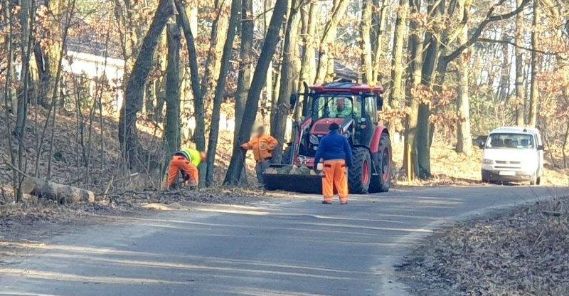 PORZĄDKI PRZY DRODZE KRZYNKA - PŁONNO