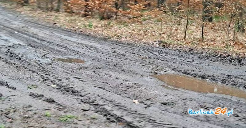 DROGA DO MIEJSCOWOŚCI SŁOWICZE - RAZ JESZCZE